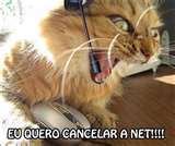 faça o teste