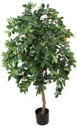 Govt_Contractor's profile picture. Don't have a profile. (I am well over 18+ in case you want to know)