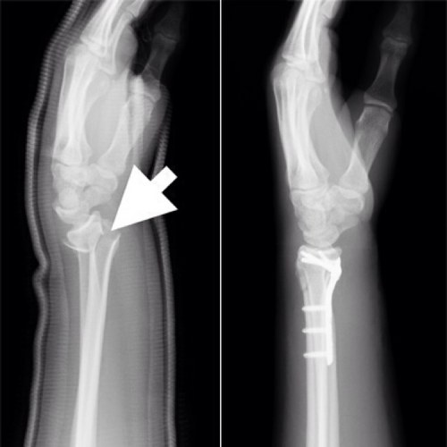 drbonefixer's profile picture. 