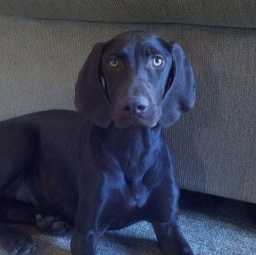 Fourcyclones's profile picture. Bike Rider / Sharp Shooter / CAF