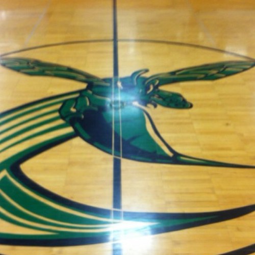 tjmeiss's profile picture. 