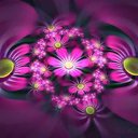 Zee Yang - @ZeeYang1 - Twitter