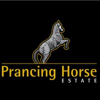 Prancing Horse (@prancinghorseau) 's Twitter Profile