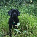 robert pettifer - @richmondrapids - Twitter