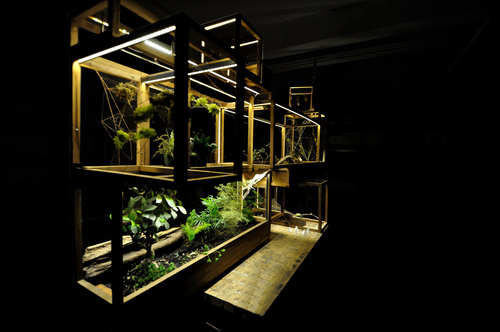 Building a City for Plants, Inspired by NYC