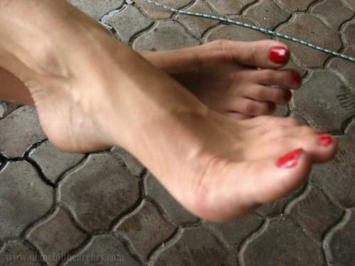 Bryannimal's profile picture. Experienced and creative, I love all types of role play. My particular niche is in BDSM of any kind. I love putting a man in his place!