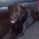 Anne McIntosh - @anniemac181 - Twitter