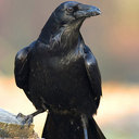 Simon Sol & Vår - @SimonSolVr - Twitter