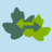 biodiv_gnp's profile image
