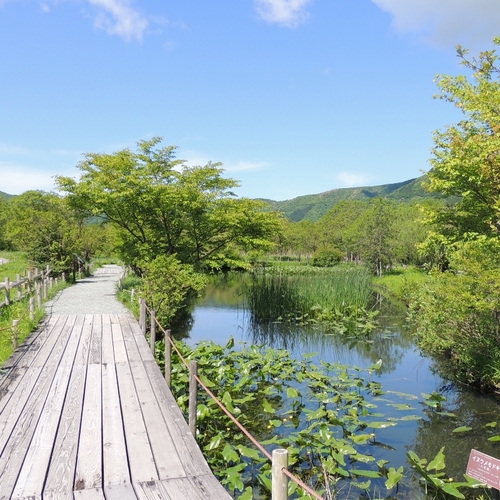 箱根湿生花園は、神奈川県唯一の湿原である箱根仙石原湿原を紹介することと、湿原環境保護の見地から設けられた箱根町立の植物園です。湿原をはじめ川や湖沼などの水湿地に生息している植物を中心に、約１７００種の植物が四季折々に花を咲かせています。 ℡０４６０-８４-７２９３