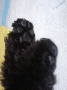 Vassilis16's profile picture. 成人(20↑)/パライバトルマリンに一目惚れしジュエリー→ルース→原石とはまり中/ほぼROMのみ/たまに入手した石の写真あげてます/よろしくお願いします。