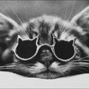 Hannah Weir - @HannahWeir1 - Twitter