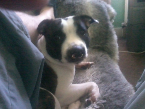 DavidPowerdj51's profile picture. 