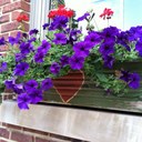 Debbie Kirk - @Deb_Kirk - Twitter