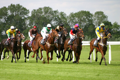Est. 5/6/12 - Racing + Football tipster, have around a 75% win rate and looking to help others beat the bookies! FOLLOW US!! #TeamFollowBack