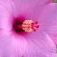 Azhar Ameer Khan (@azhark) 's Twitter Profile