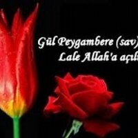 hatice akşit (Giyim Öğrt) (@haticeaksitt) 's Twitter Profile Photo