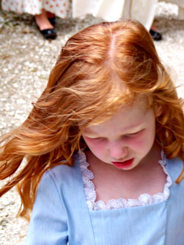 TheScreenPorch's profile picture. 