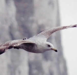 dministres's profile picture. politique, économie, éthique, société, religion - blog par 
@ghislain2f & @F_DePointZero