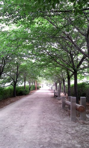 loveapple0110's profile picture. Sso cool~~~