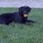 Hallmom78's profile image