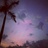 HawthornDawn's profile image