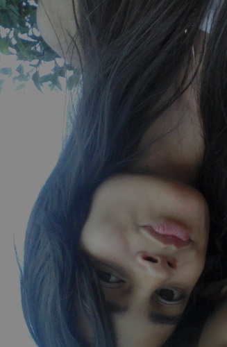 ~ A minha Bio o gato comeu ;3 ~