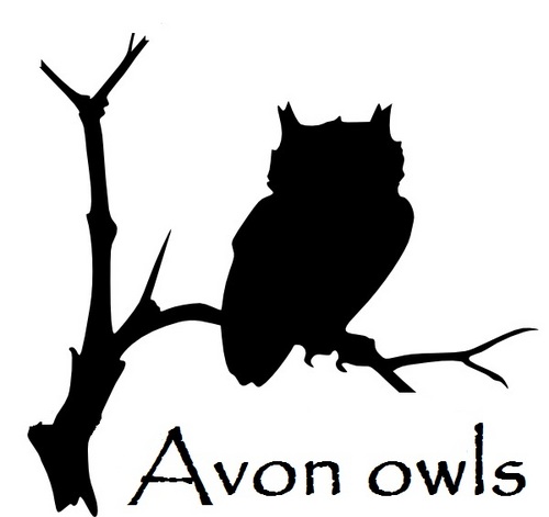 Avon_owls's profile picture. Avon owls is a registered charity.
We have built a dedicated sanctuary near Weston super mare.
With your help we will be able to open to the public.