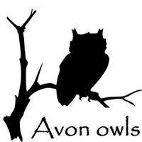 The Owl man (@avon_owls) 's Twitter Profile