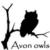 The Owl man (@avon_owls) Twitter profile photo