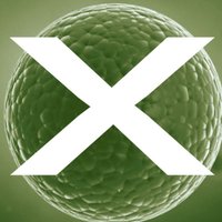 Douven X (@douvenx) Twitter profile photo