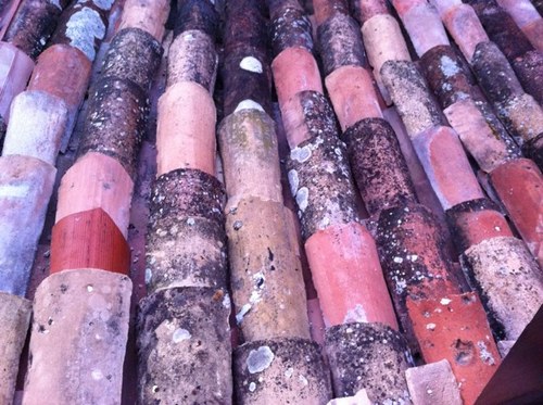 MarioSchermi's profile picture. 