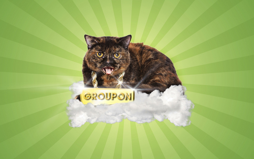 JenGrouponSEA's profile picture. Finding the best deals in Seattle!