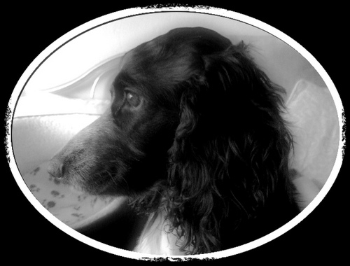 A curious people watcher who is never too old to learn......loves her family and friends