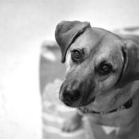 Alessandra Ferzoco (@hmmm_iwonder) 's Twitter Profile