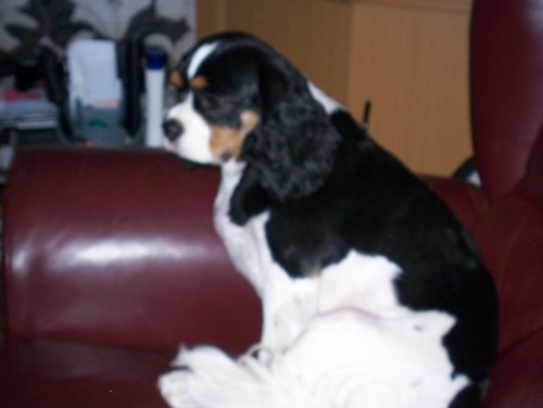 Gary1809's profile picture. fishing,gaming. sportaholic,