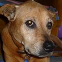 Terry Higgs - @TerryHiggs - Twitter