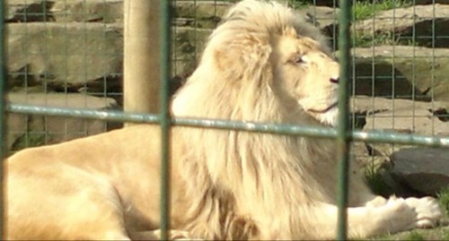 Spanner0611's profile picture. 