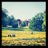 ellie_cator's profile image