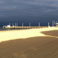 Vives Marie (@vivesmarie) 's Twitter Profile