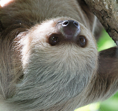 elbaluchon's profile picture. Canada, Europe, lumières, Ukraine, France, tech. Créateur / éditeur de https://t.co/YoaD4rU2TJ, voyage. Christian Jules sur BS.