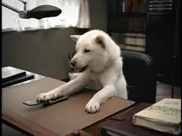 gon_sendai's profile picture. ほぼ引退