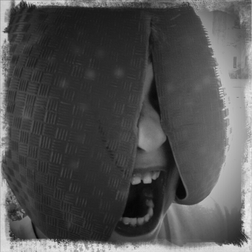 bcrobison's profile picture. Squishier than most, but twice the shoehorns with a hint of otter. .