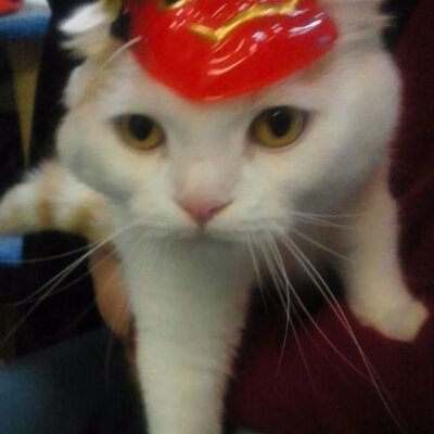 グリコ🌸( ｰ̀εｰ́ )(インスタアカ停止された） (@gurikorock) / Posts / X