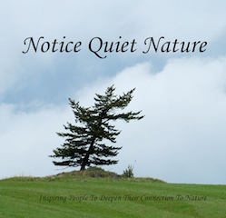 Healthy creative people, model healthy relationships with the Earth. This stimulates resilience, in the face of adversity!