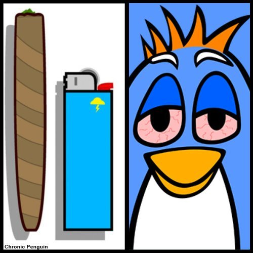 I am a penguin that represents an attitude of reform and rebellion for the good , the people, the penguin. 

http://t.co/XbFvWnJ2SW