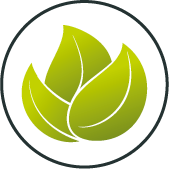 La société Lotus est la spécialiste en France des plantes stabilisées d'intérieur : bonsaïs, arbustes, arbres, murs et cadres végétaux...