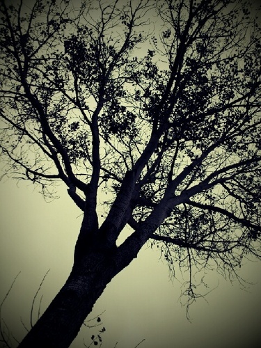 jaredatom's profile picture. 