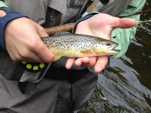 hatchography's profile picture. fishing is a habit