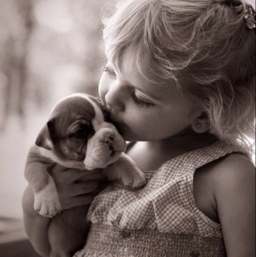 LilMissyTaylor's profile picture. Hi! I'm Taylor Madison Mae. I adore bunnies, dolls, and cookies! I have no mummie. Cookie?